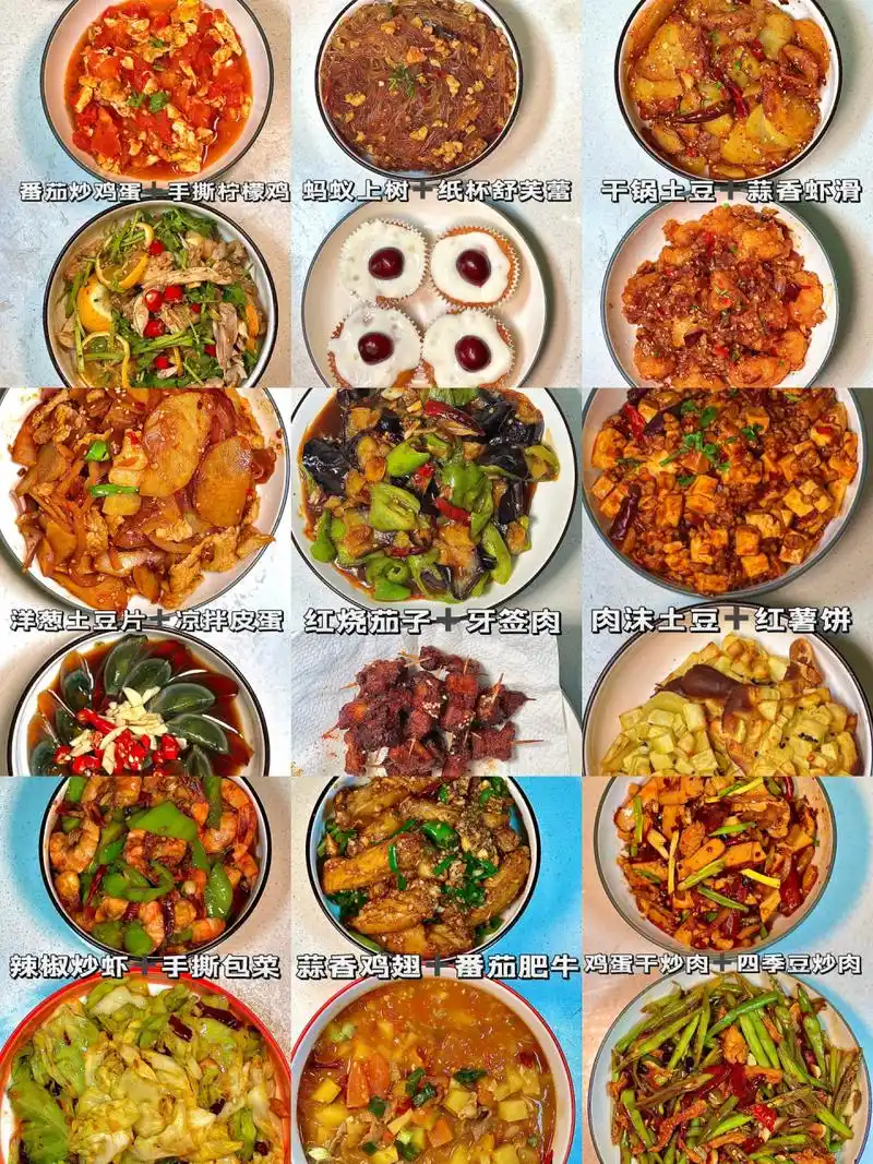 100道家常菜|简单好吃零失误73 95快来抄作业啦～家常菜大全,终于