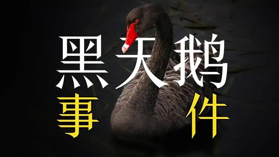 什么是"黑天鹅"事件?