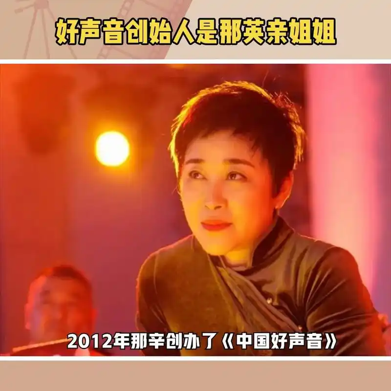 中国好声音》的创始人那辛是那英的亲姐姐.