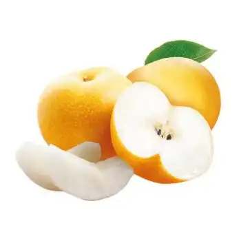 春光岛 顺丰直达 万润丰羊脂梨山东冰糖羊脂秋月梨新鲜中秋宋礼礼盒 q