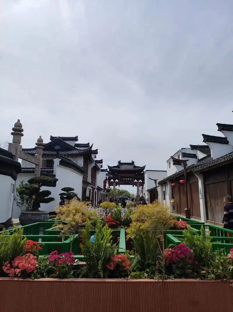 今天宝贝上幼儿园去了,我轻松多了,就到泗泾老街去溜了一圈,发 - 抖音