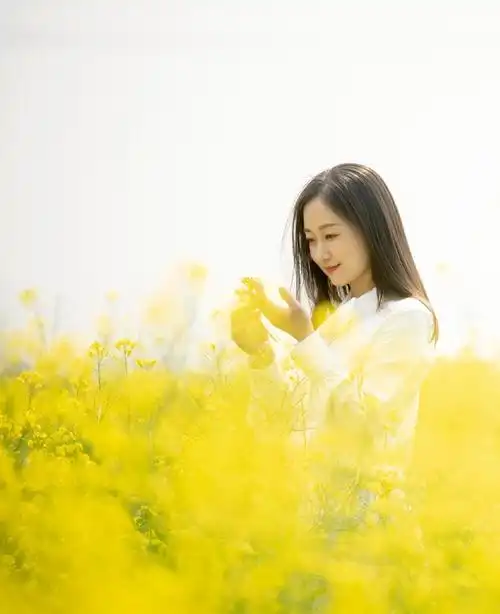 今夜我只想做一个安静的女子