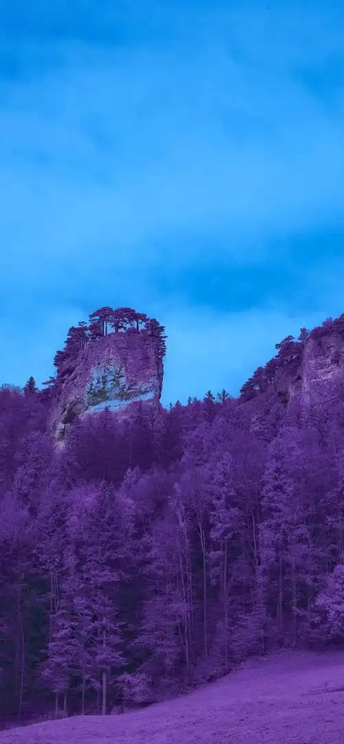 风景壁纸|色彩斑斓的大自然