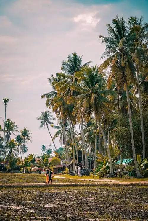 风景,人文,美食等;是你来了还想再来的国家#马来西亚亚洲魅力所在