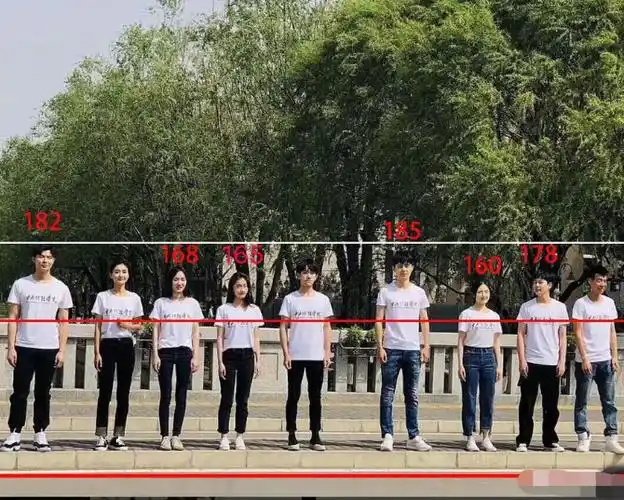 中戏活动众星同框,李晨身高挺拔,而1.85米的刘昊然尴尬了