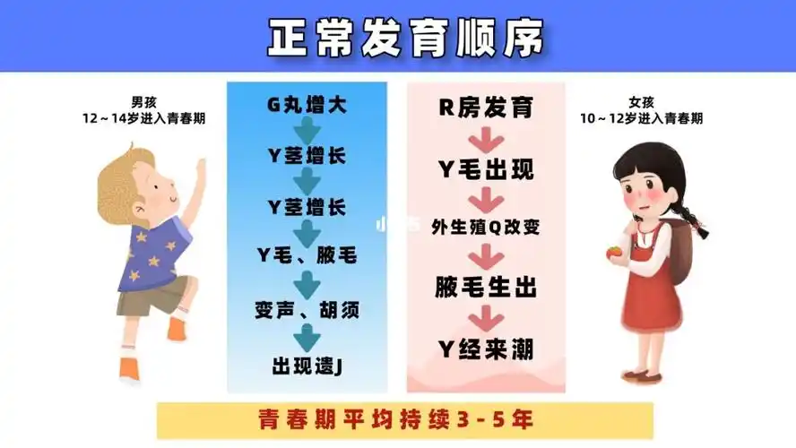 y囊发育 y茎发育12-13岁  前列腺发育 y毛发育13-14岁  g丸y茎迅速