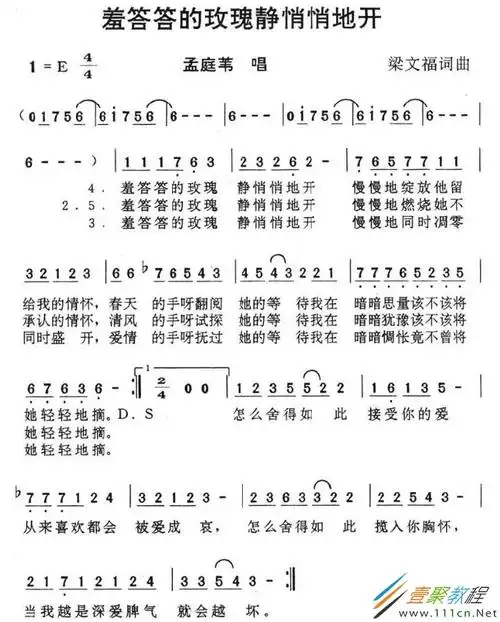 抖音羞答答的玫瑰静悄悄地开什么歌抖音羞答答的玫瑰静悄悄地开歌曲