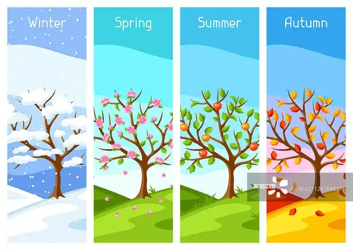 四季树木景观