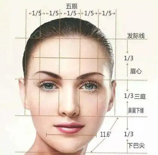 "三庭五眼"是人的脸长与脸宽的一般标准比例,不符合此比例,就会与理想