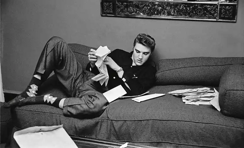 "猫王"最初也是最终的一瞥