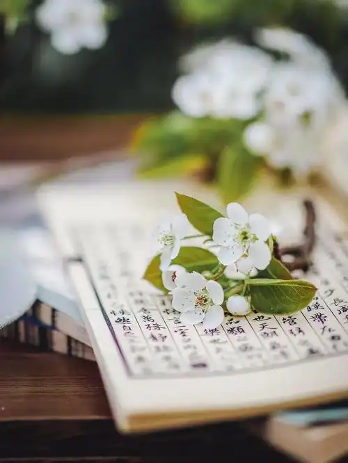 只有保持内心安静,人生才能淡然从容