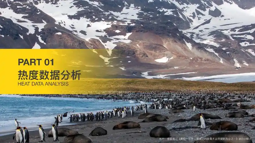 马蜂窝2024旅游大数据系列报告春节