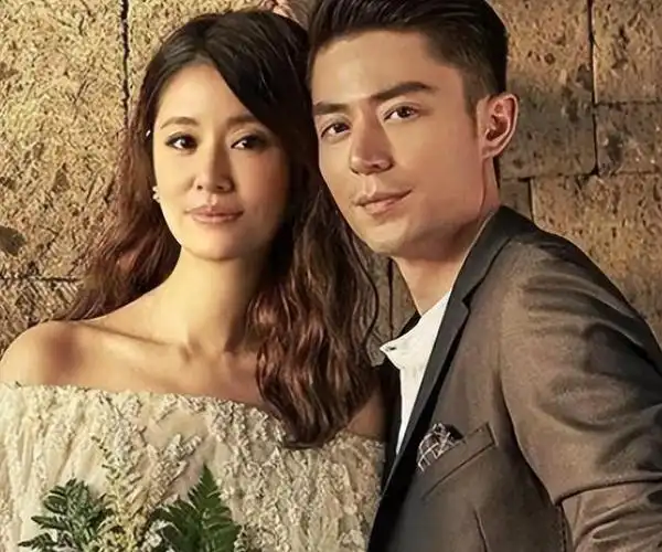 夫妻本是同林鸟但抱歉林心如这次也救不了霍建华