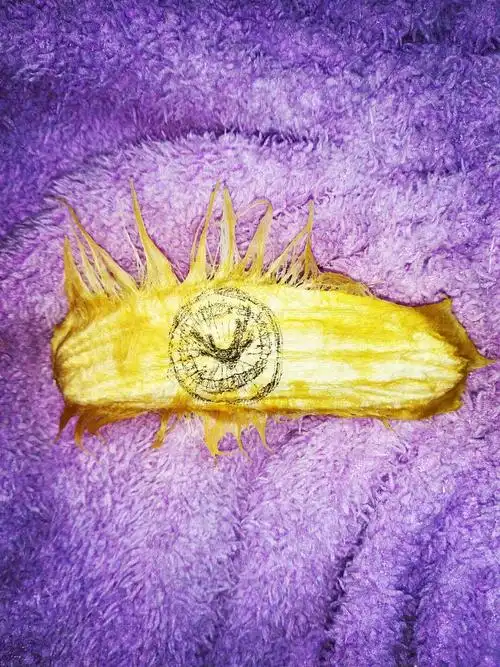 芒果核上的艺术