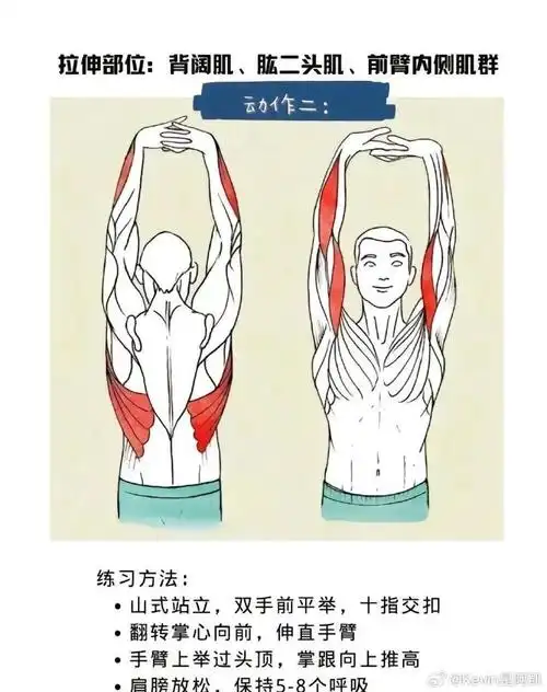 八个健身后拉伸动作