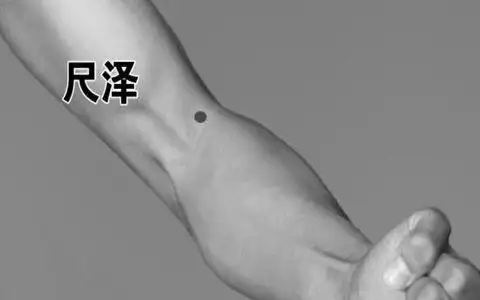 尺泽穴在在肘横纹中,肱二头肌腱桡侧凹陷处.