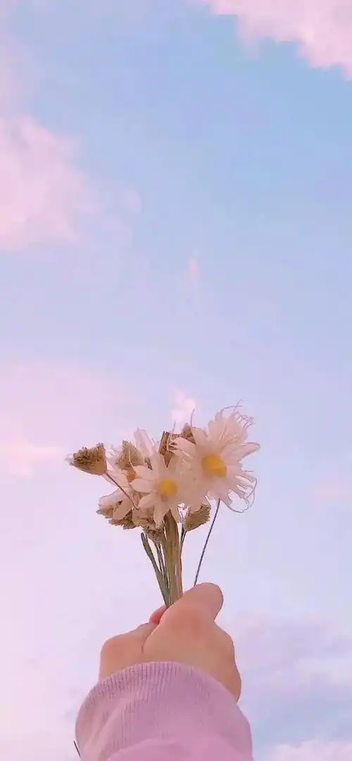 有没有什么治愈系壁纸啊