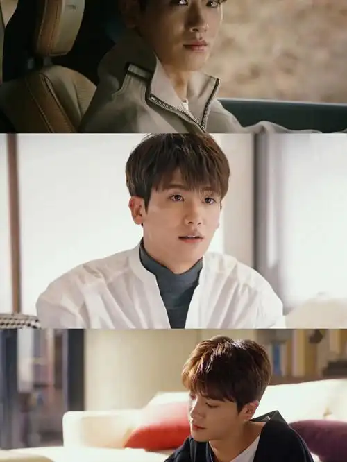 朴炯植朴宝英狗狗cp太好磕了