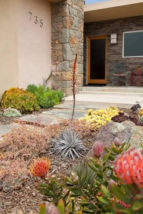 其实换一种粗放的方式,多肉植物完全可以成为花园庭院设计中的点睛之