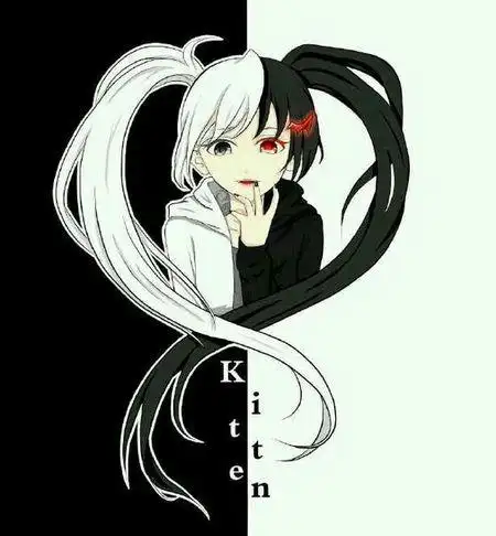 求黑白熊高清图片 用来定制衣服!急!