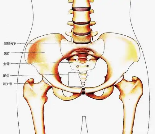 假胯宽跟这4大异常姿势有关!自我矫正跟着做~