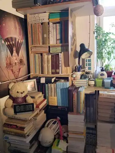 晒书房一屋子的书大致60k可能算是入坑被坑了