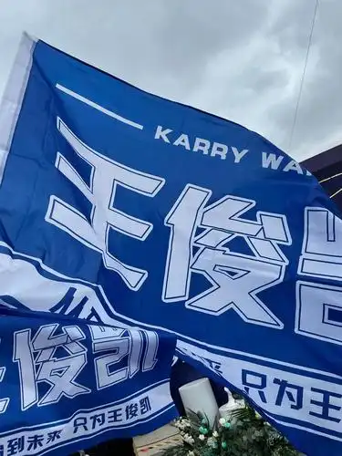 从开始到未来只为王俊凯