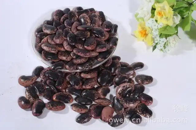 2012冬季跑江湖产品 肾豆 补肾果 送电子版的广告画录音