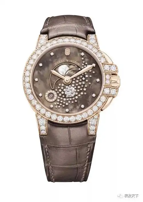 harry winston 海瑞温斯顿ocean月相表