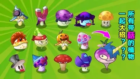 植物大战僵尸:庄先森解说植物家族成长史  :13菇一起开大有多恐怖?