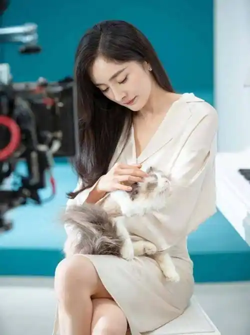 杨幂晒35岁庆生照,复古印花卫衣彰显温柔气质,说是25岁都有人信_时尚