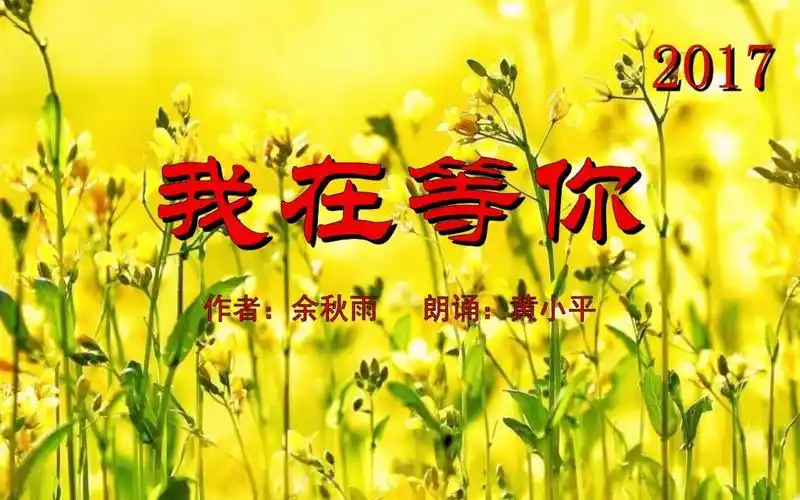 散文我在等你2017作者余秋雨朗诵黄小平