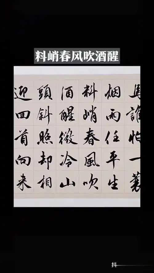 竹杖芒鞋轻胜马,谁怕,一蓑烟雨任平生!