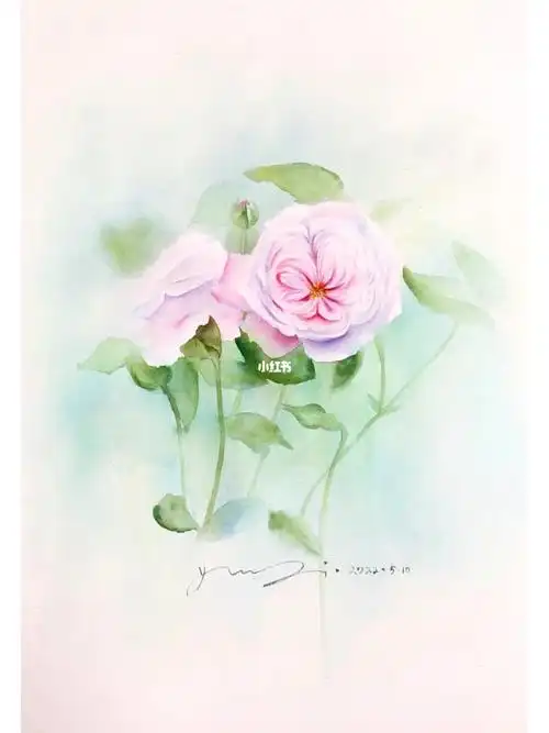 清新淡雅风的水彩花卉