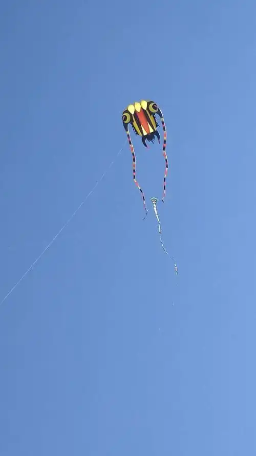 又是一年春来到,各色风筝满天飞