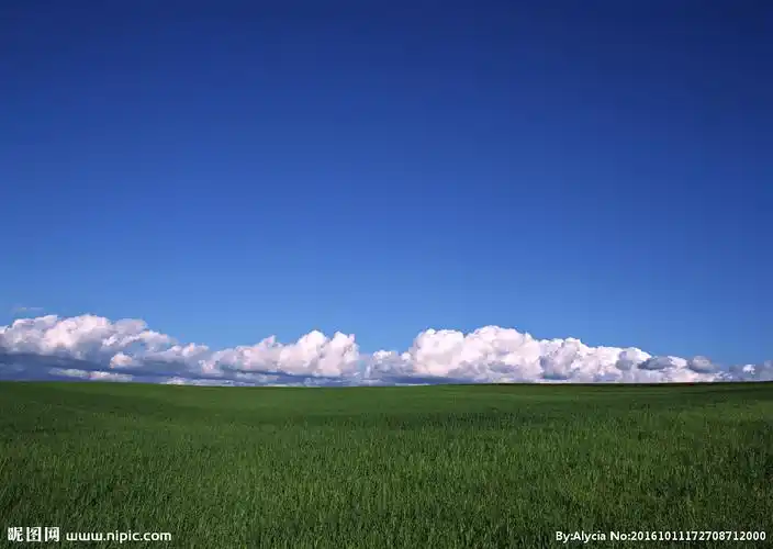蓝天绿地背景摄影图__自然风景_自然景观_摄影图库_昵图网nipic.com