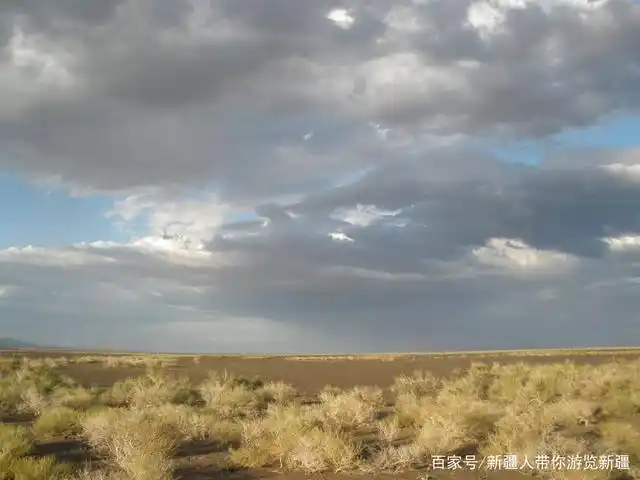 不用出国也能看到澳大利亚半荒漠草原风光