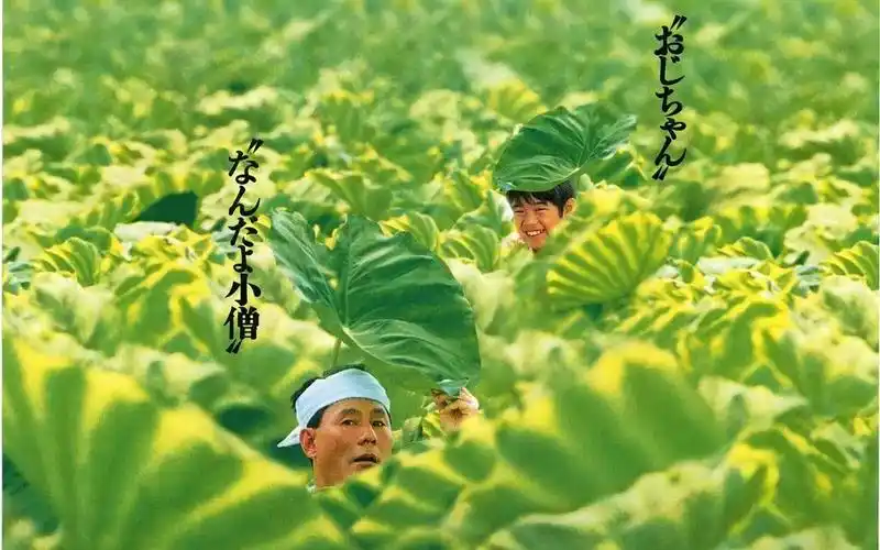 活动作品态度电影菊次郎的夏天