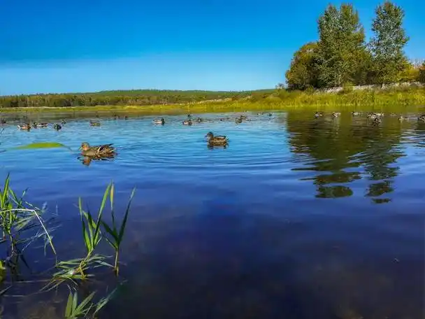 学生作文:我喜欢夏天