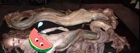 恐怖漫画美人鱼的真相男人也能当