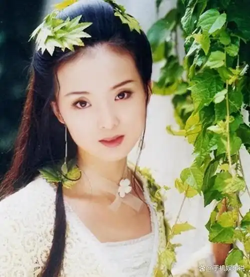 "晴格格"王艳:给那些想嫁入,豪门的女星提了个醒