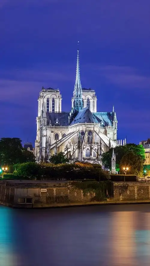巴黎圣母院夜景,高清图片,手机壁纸