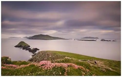 爱尔兰旅游:丁格尔半岛,被誉为地球上最美的地方,拥有梦幻风景