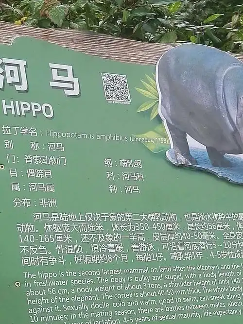 大家请看这是河马的简介