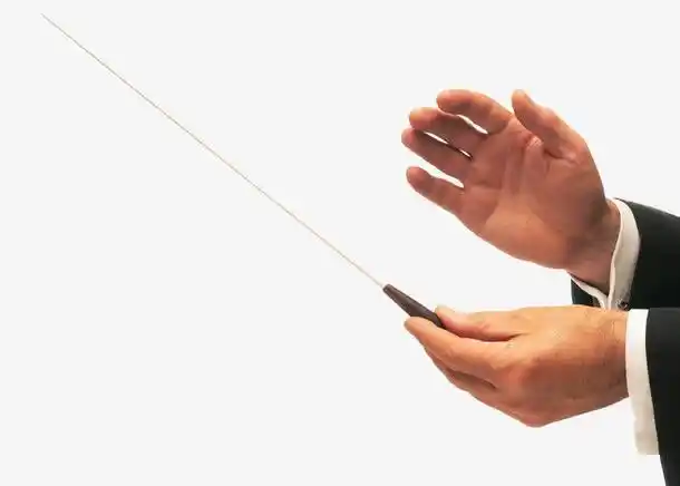 音乐家指挥手势