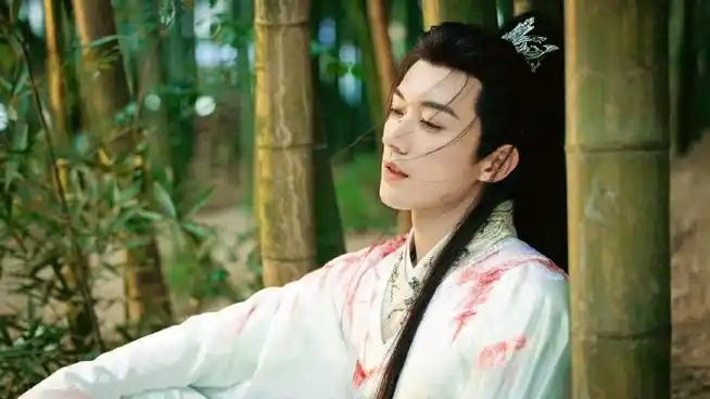 春花厌竹林战损大片##刘学义慕容璟和