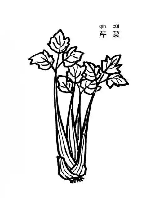 芹菜蔬菜简笔画步骤图片大全,儿童简笔画,幼儿简笔画,简笔画图片大全