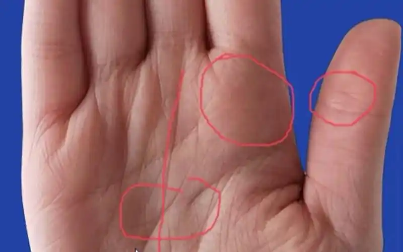 凤眼纹开口代表着什么?