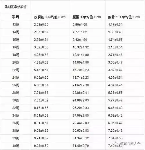 收藏,用得着!——不用医生自己也会学看b超单
