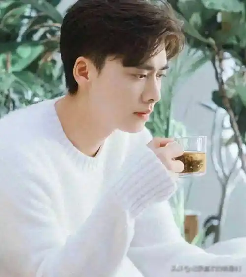 李易峰07年加油好男儿选秀节目出道帅气迷人十足,有着校草人物